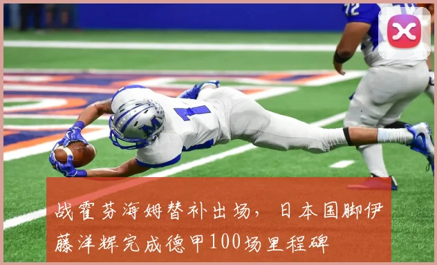 战霍芬海姆替补出场，日本国脚伊藤洋辉完成德甲100场里程碑