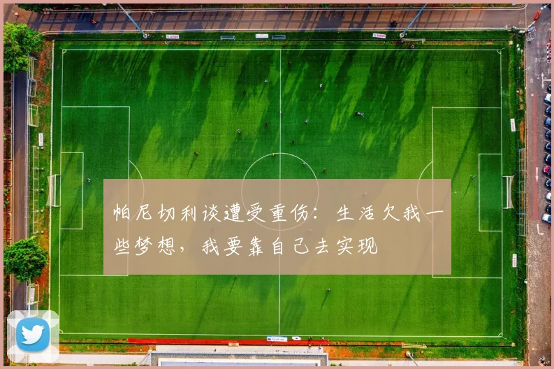 帕尼切利谈遭受重伤：生活欠我一些梦想，我要靠自己去实现